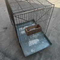 قفس غلامی سهره