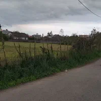 زمین ۱۸۰۰۰متری دربلوار لاکان کوچه ملکی|فروش زمین و ملک کلنگی|رشت, لاکان شهر|دیوار