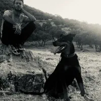 سگ دوبرمن رتوایلر میکس حرفه ایی(روترمن)|سگ|خرم‌آباد, |دیوار