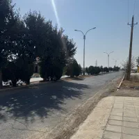 ۳۵۰ متر/سند تک برگ/دیوار کشی شده/زعفرانیه