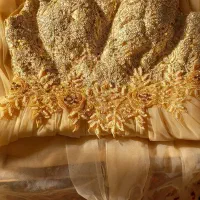 لباس مجلسی با تن خور فوق العاده زیبا