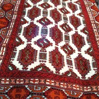 تولیدی فرش دستبافت|فرش|آق قلا, |دیوار