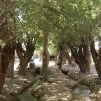 فروش یا معاوضه باغ در باغشهر باغستان