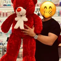 اینو واسش بخری از ذوق دیوونه میشه/ سرزمین هدیه