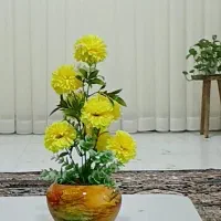 تلفن رومیزی مربوط به عکس