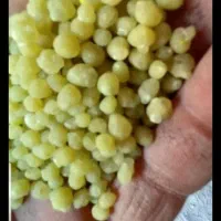 کود شیمیایی دی آمونیوم راضی