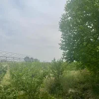 باغچه-900-متری-سند-دار-چهاردیواری