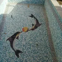 کاشی کاری استخر و سونا و جکوزی|خدمات پیشه و مهارت|ملایر, |دیوار