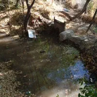 فروش خانه باغ قدیمی