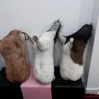 نی انبان حرفه ای و مدرن