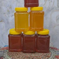 بورس انواع عسل ارگانیک ،پرورشی و معجون ۷ مغز|خوردنی و آشامیدنی|اهواز, کوروش|دیوار