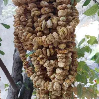 برگه هلو و جوز قند، توت خشک