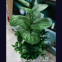 مناسب با کیفیت