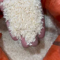 برنج صدری درجه یک گیلان زیر قیمت