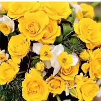 توجه گل طبیعی ارگانیک ضمانتی۱۰۰%