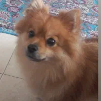 مایا خانوم دوست داشتنی