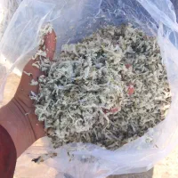 فروش تفاله چغندر،وتفاله سیب|حیوانات مزرعه|چهاربرج, |دیوار