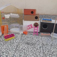 کبوتر|پرنده|بم, |دیوار