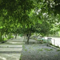 سوییت منزل مبله ویلا شیک در سامان پل زمانخان|اجارهٔ کوتاه‌مدت آپارتمان و سوئیت|سامان, |دیوار