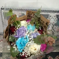 فروش فوری گل طبیعی|گل و گیاه طبیعی|قم, شاه ابراهیم|دیوار