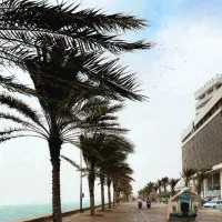 تور گردشگری بوشهر