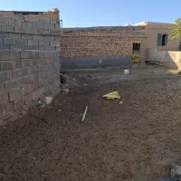 دامداری