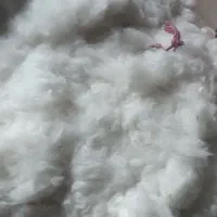 فروش تشک پنبه ای و پنبه نو|رختخواب، بالش، پتو|داراب, |دیوار