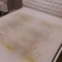 مبلشویی  مبل شویی  قالیشویی|خدمات نظافت|ایلام, |دیوار