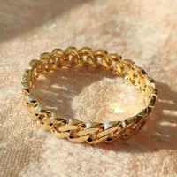 زنجیر نفرتی پهن|بدلیجات|بندر انزلی, ساحل قو|دیوار