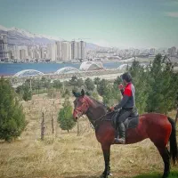 آموزش سوارکاری|خدمات آموزشی|تهران, پیکان شهر|دیوار