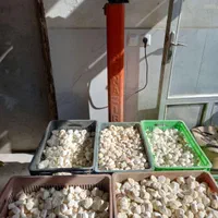 کشک محلی اردبیل|خوردنی و آشامیدنی|اصفهان, خواجو|دیوار
