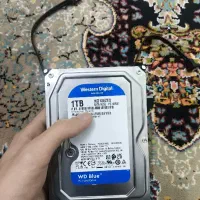 هارد وسترن دیجیتال 1 ترابایت بلو