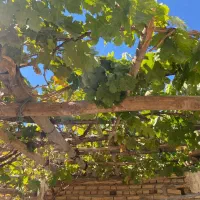 خانه ۳۰۰ متری