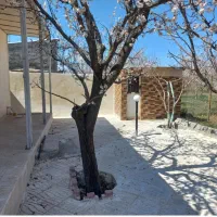 باغ-کورانه-بهاران