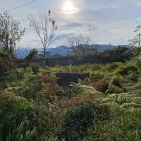 فروش زمین ۲۷۸ متر کاربری مسکونی بر جاده|فروش زمین و ملک کلنگی|چابکسر, |دیوار