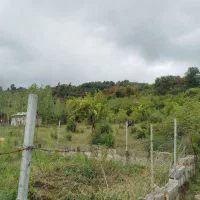300متر زمین مسکونی پای کوه شاندر من چالسرا