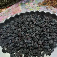 مویز مشکی شیراز|خوردنی و آشامیدنی|قم, زنبیل آباد|دیوار