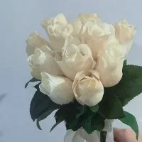 حراج لوازم اشپزخانه لباس ها شال وکیف کفش و گلا..|حراج|لاهیجان, کوی آزادگان|دیوار