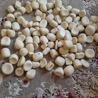 100عددسنگ اسیاب و|کلکسیون اشیاء عتیقه|فیروزه, |دیوار