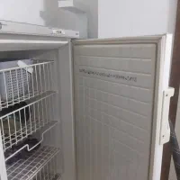 فریزر ۶ کشو مارک معروف و قدیمی برنا|یخچال و فریزر|برخوار, |دیوار