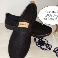کفش|کیف، کفش، کمربند|قم, شاه ابراهیم|دیوار