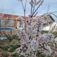 باغ ویلا شیک درمجتمع ویلایی با نگهبانی ۲۴ ساعته