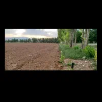 فروش۳دانگ چاه کشاورزی و خونه و مزرعه روستای تیران.|فروش دفتر صنعتی، کشاورزی، تجاری|الیگودرز, |دیوار