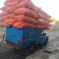 کاه گندم دیم