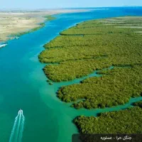 تور گردشگری گشت جزیره