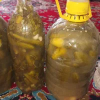 خیارشور‌. سیر ترشی .