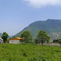 ویو ابدی جنگل بافت با سند//آماده ساخت 150متری