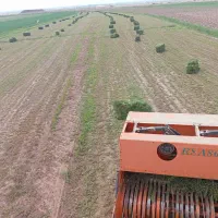 پرس یونجه امسالی درجه یک تحویل همه روزه