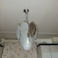 لوستر طرح برگ|لوستر و چراغ آویز|خمین, |دیوار