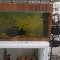 آکواریوم به همراه پمپ هواساز و لوازم جانبی